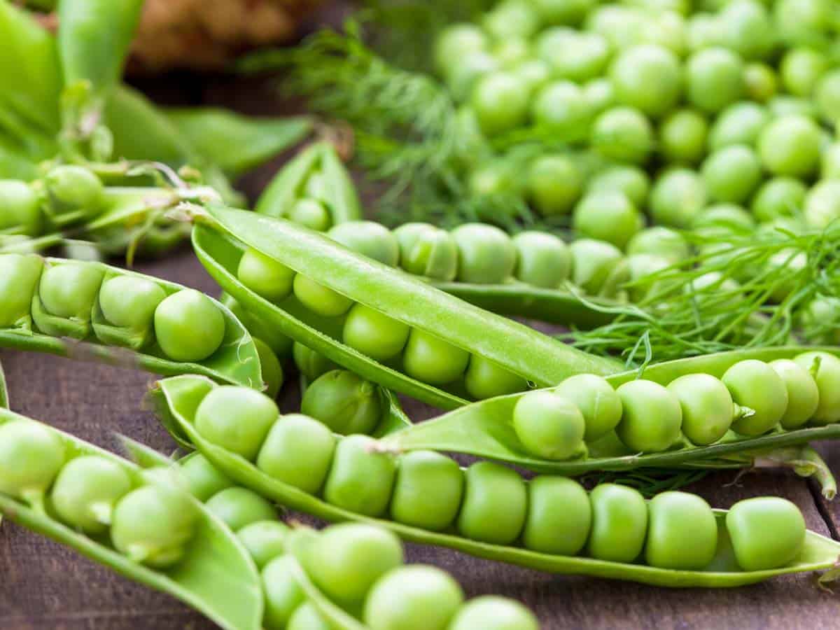 Spring peas on a wood background.