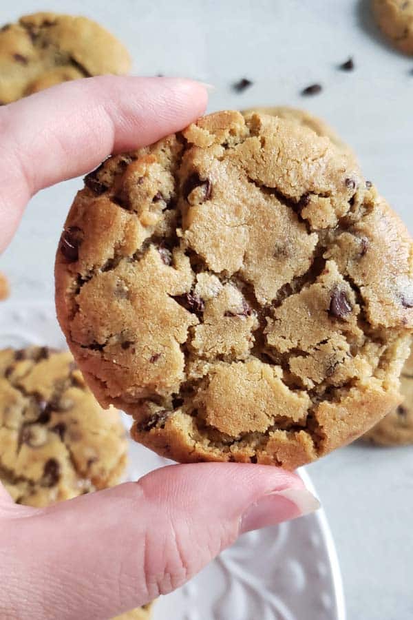 close up of a peanut butter chocolate chip cookie