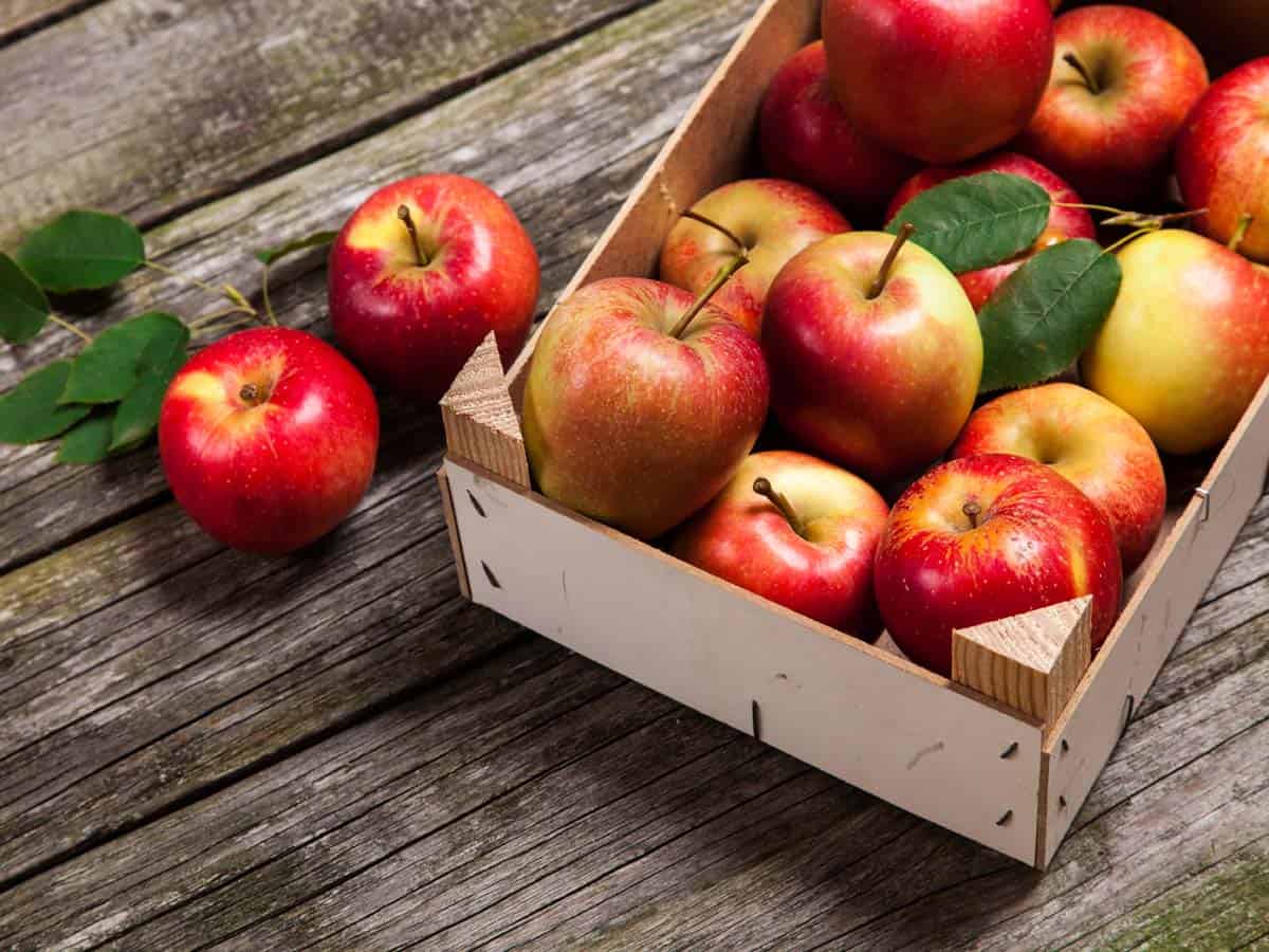 Fresh red apples in a wooden crate.