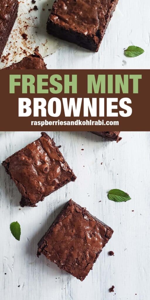 Sliced fresh mint brownies on a white surface.