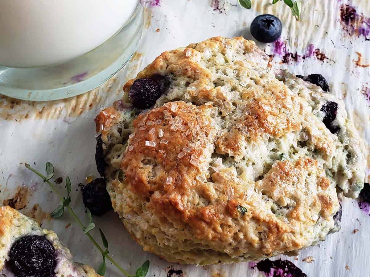 Sourdough blueberry thyme scone on a white surface.