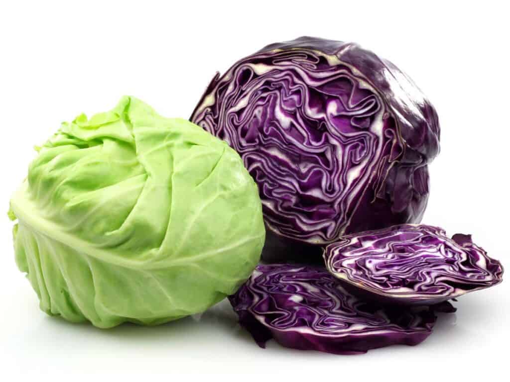 Green and purple cabbage on a white background.