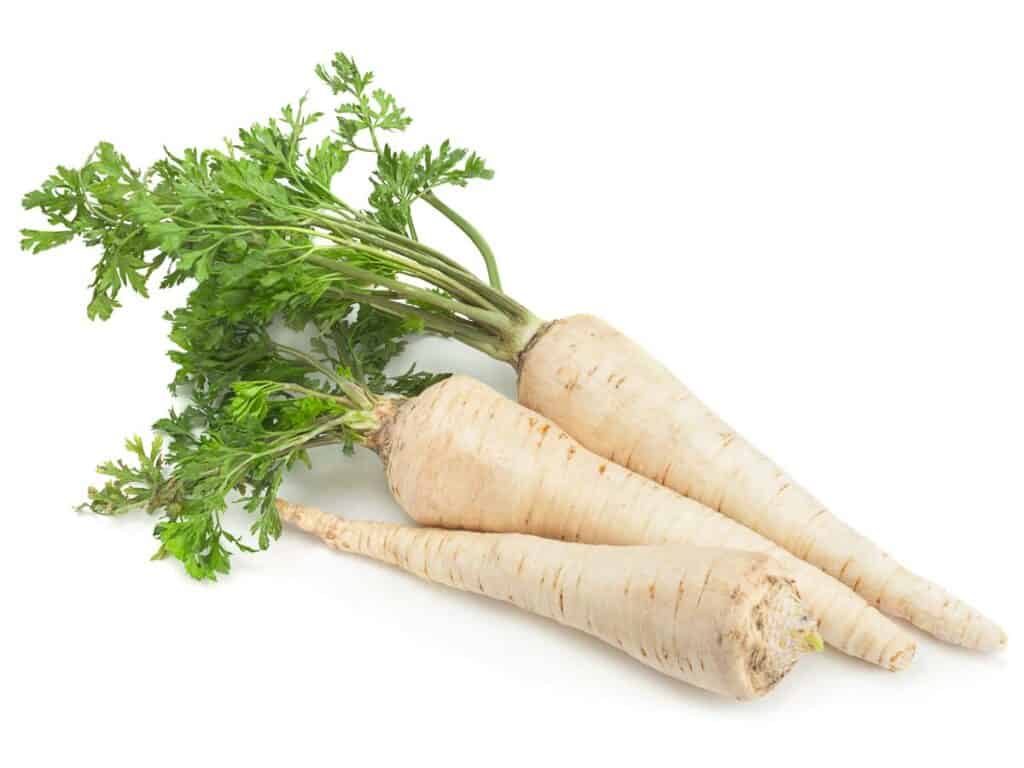 Parsnip root with leaf isolated on white background