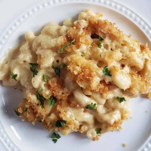 macaroni and cheese on a white plate