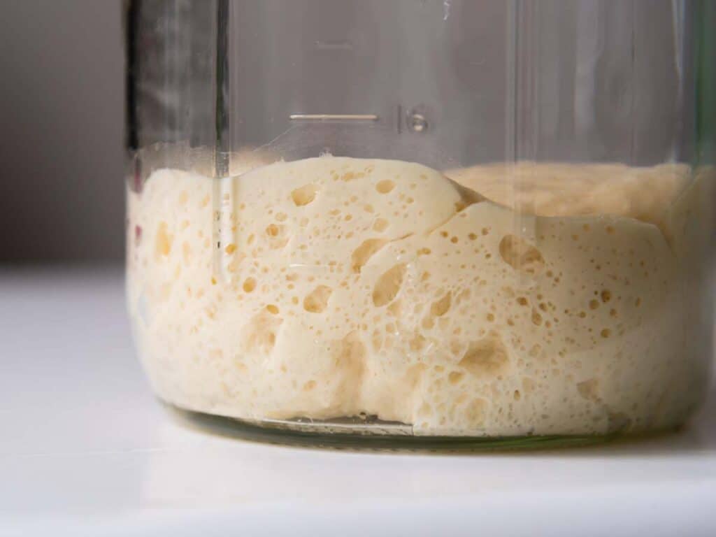 Close-up of pâte fermentée or old dough in mason jar, ready for leavening bread dough