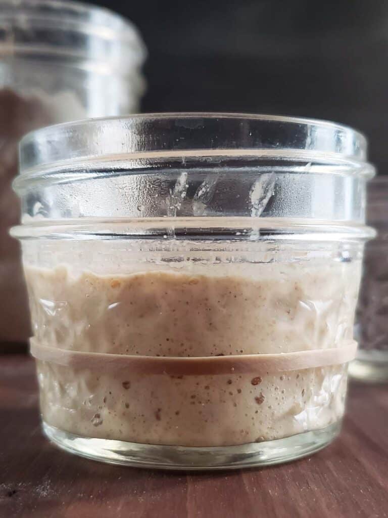 Sourdough starter that has doubled in size in a glass jar.