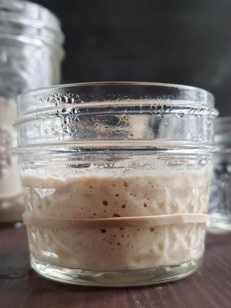 Sourdough starter that has doubled in size in a glass jar.
