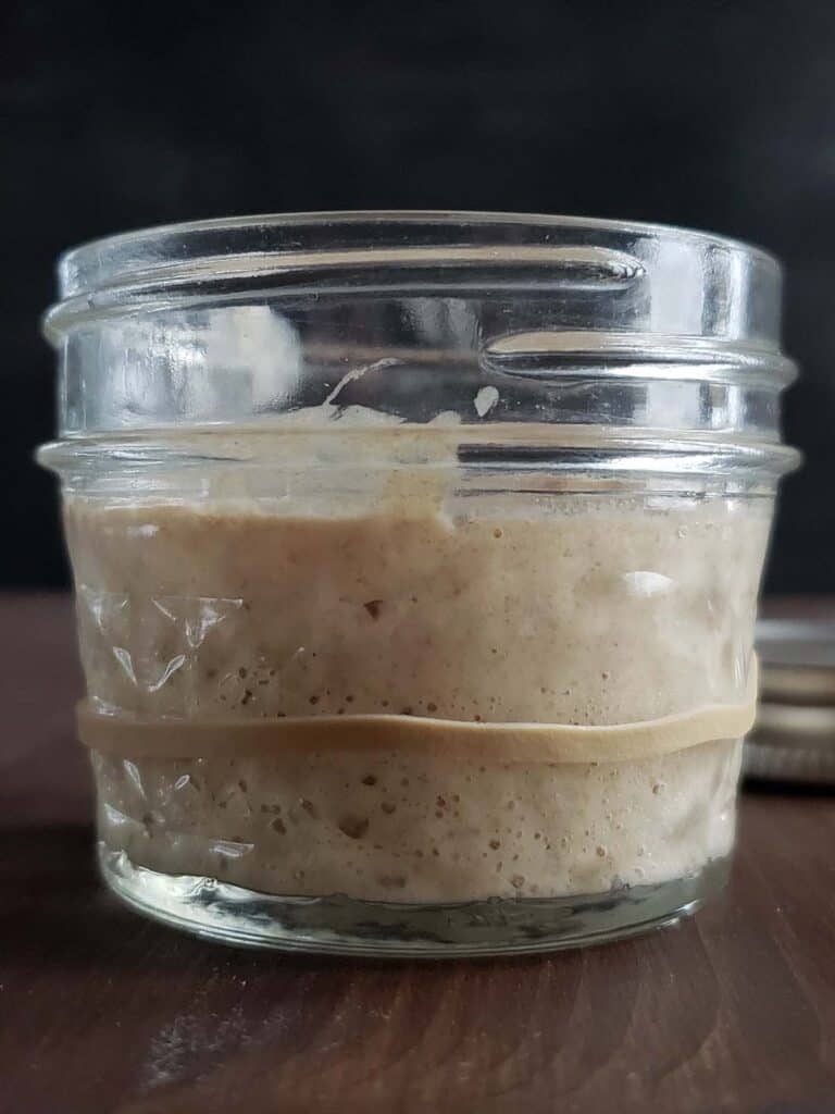 Sourdough starter that has doubled in size in a glass jar.