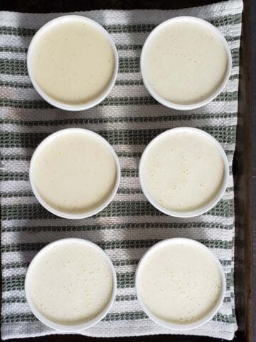 Ramekins filled with creme brulee on a towel lined baking sheet.