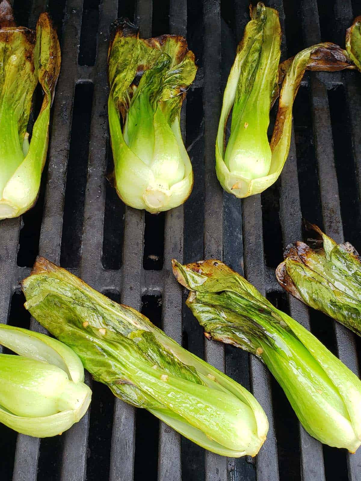 Baby bok choy on a grill.