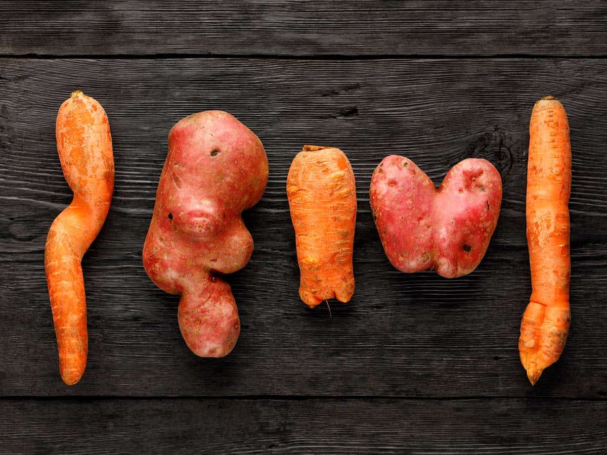 Ugly funny vegetables, heart-shaped potatoes and twisted carrot on a black wooden background.