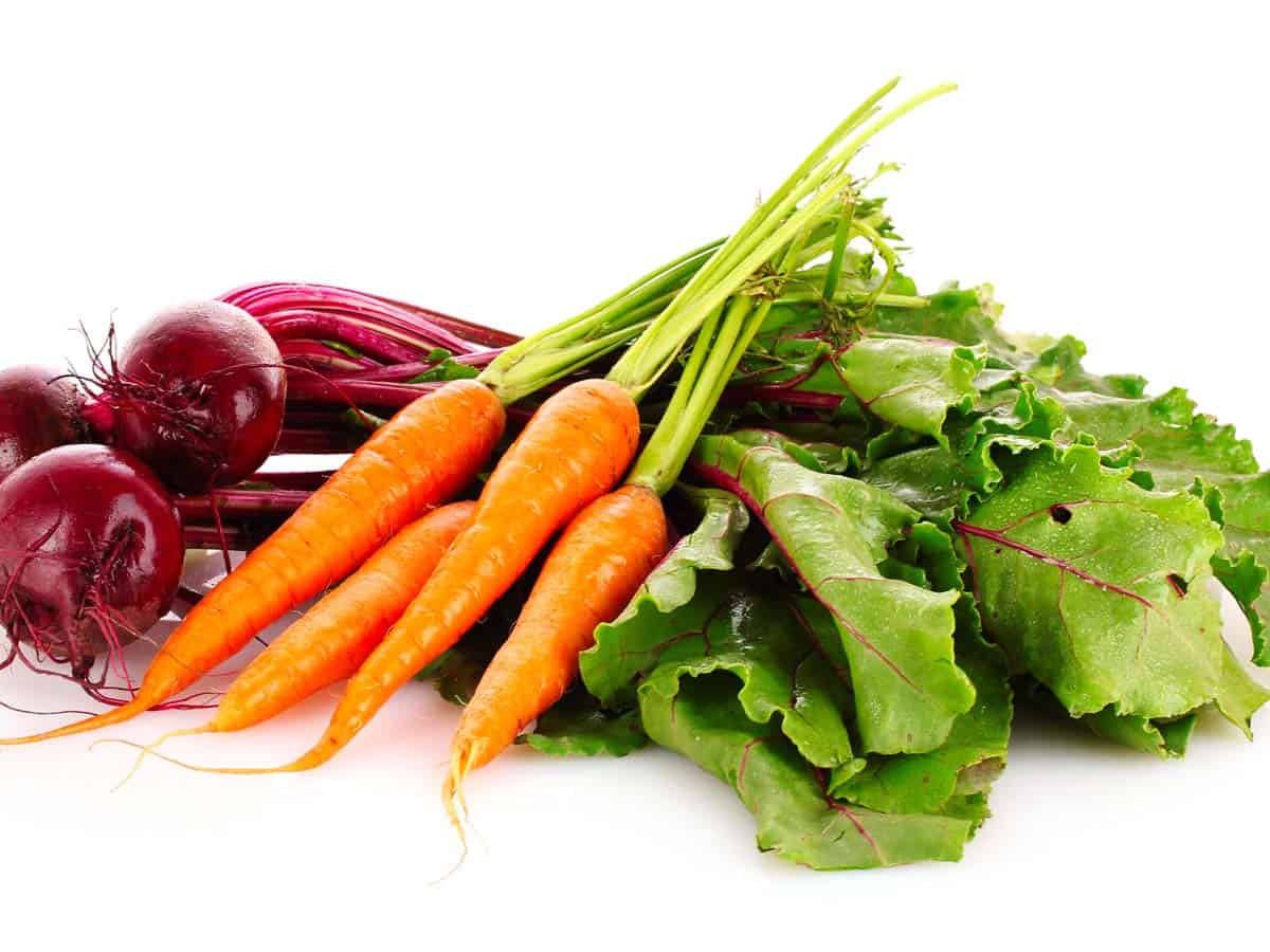 Carrots and beets on a white background.