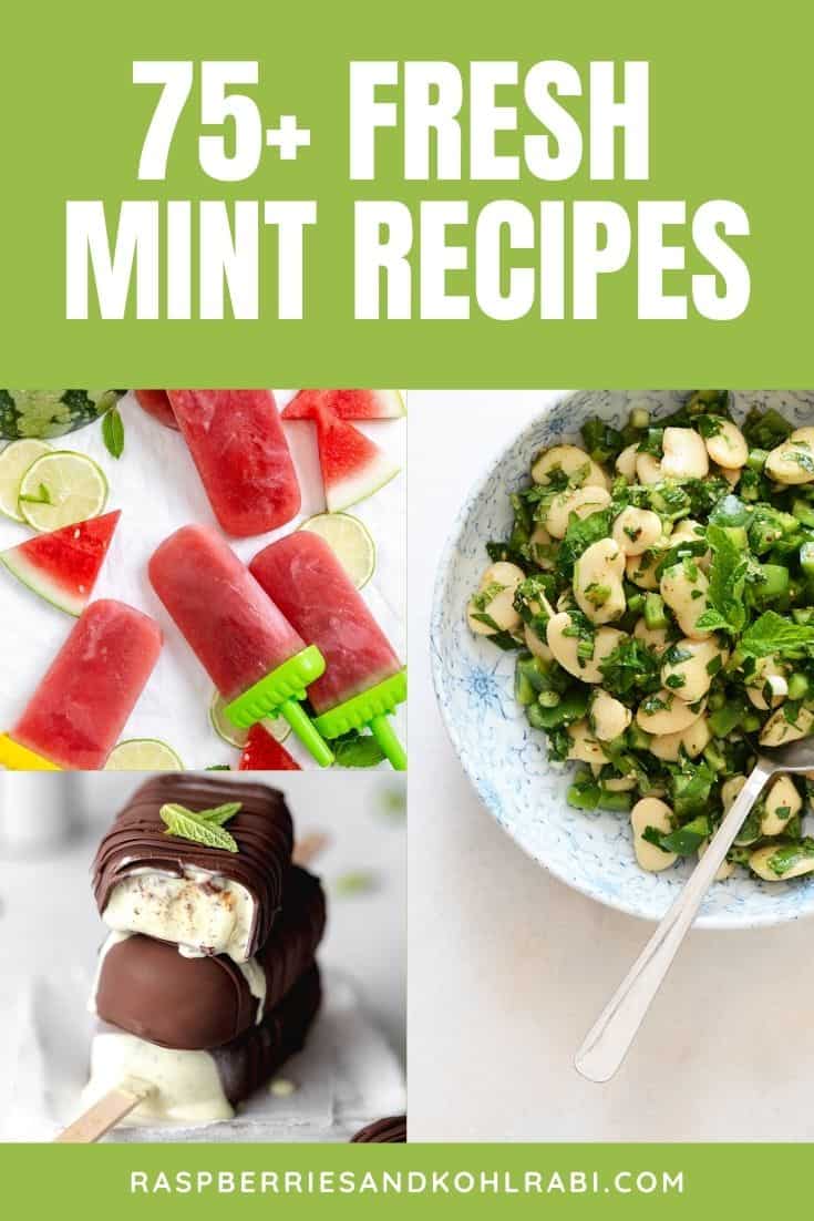 Collage of recipes made with fresh mint.