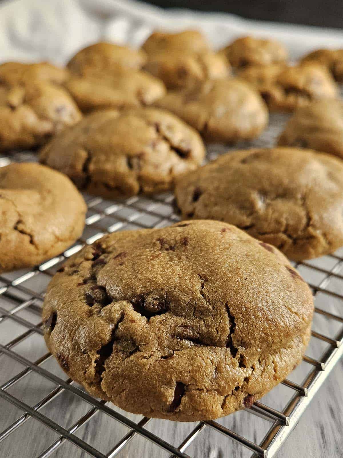 Twelve peanut butter chocolate chip cookies cooling on a wire rack.