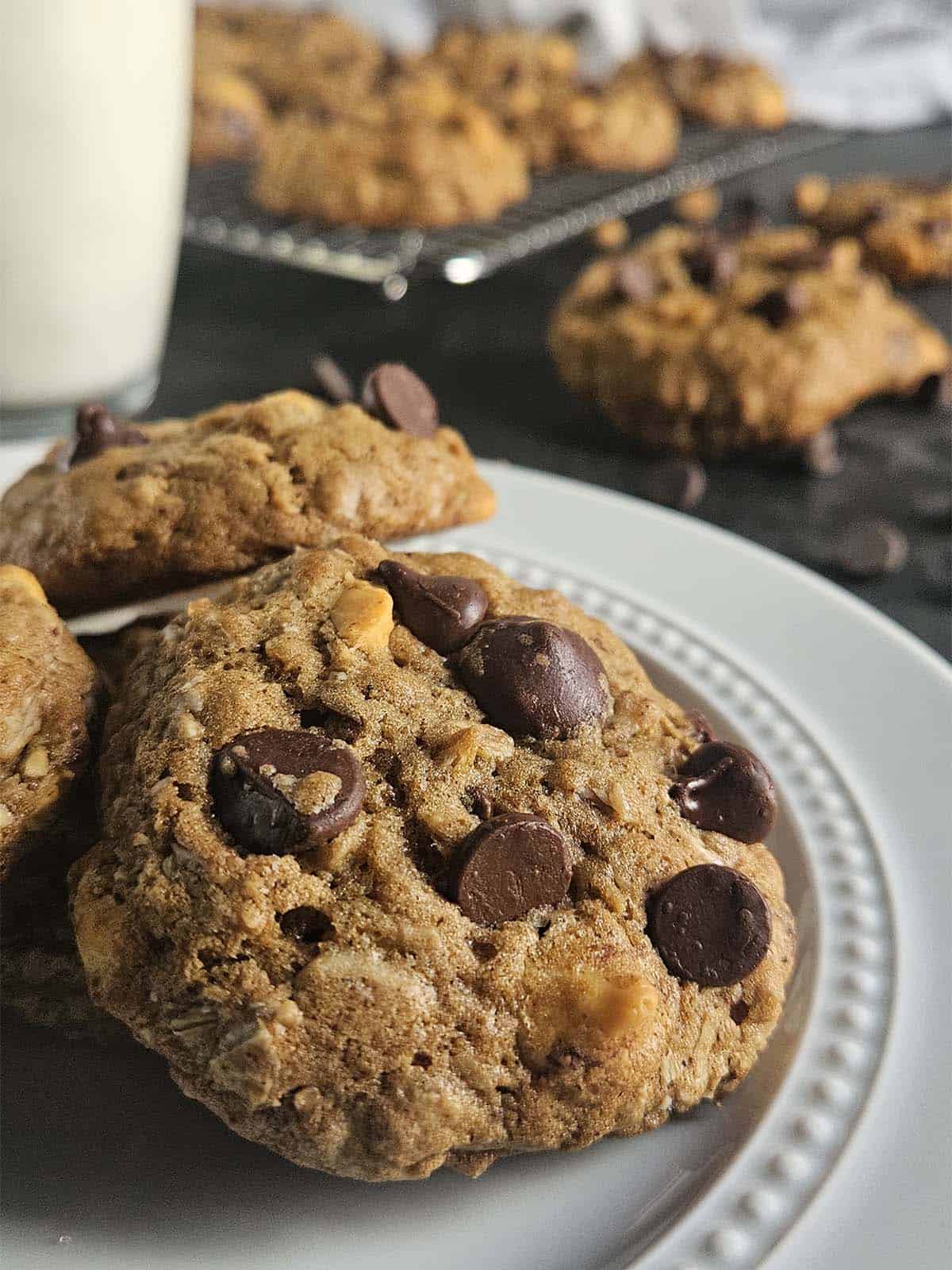 Three sourdough oatmeal chocolate chip cookies on a white plate.