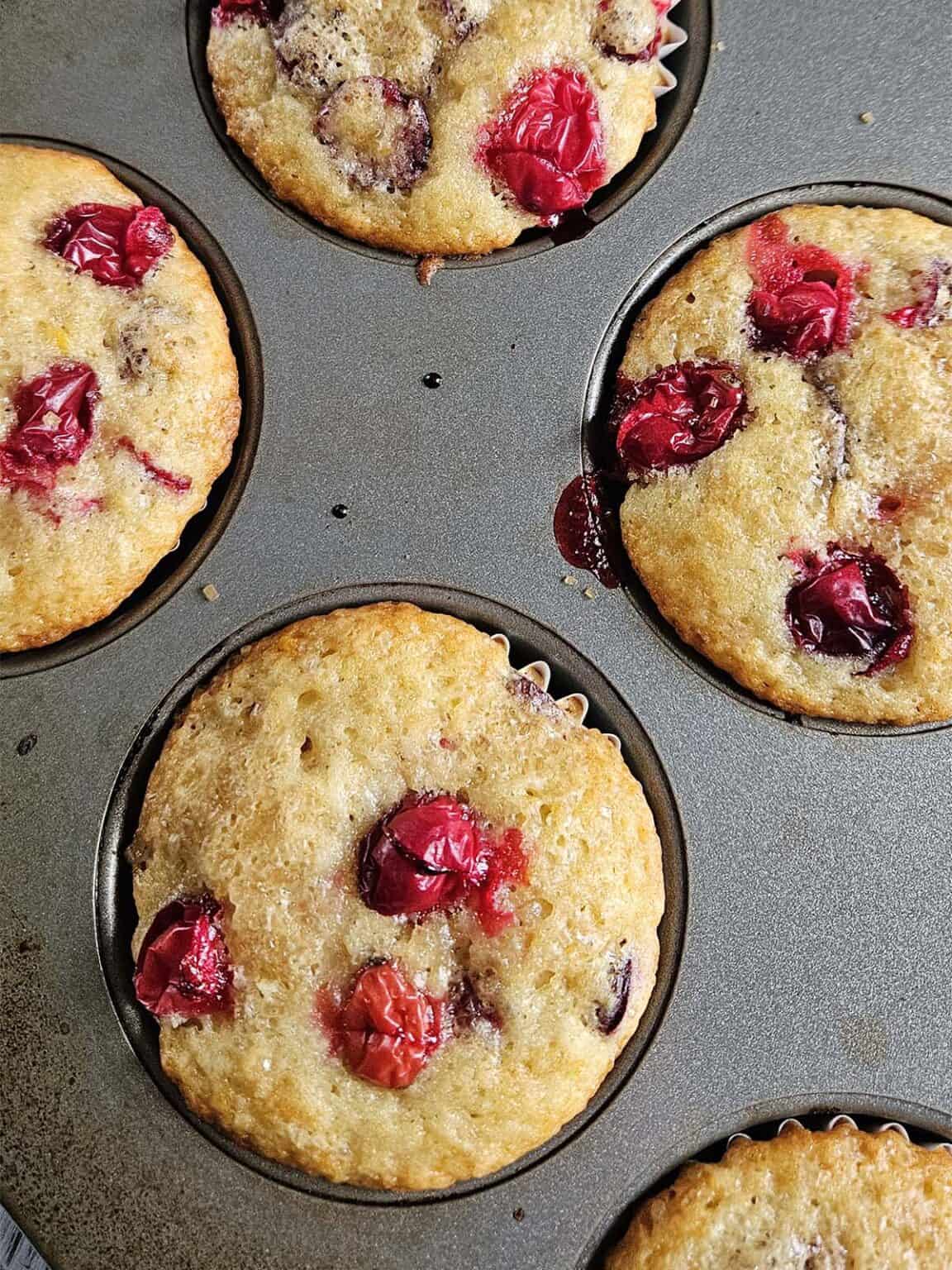 Cranberry Orange Sourdough Muffins - Raspberries and Kohlrabi
