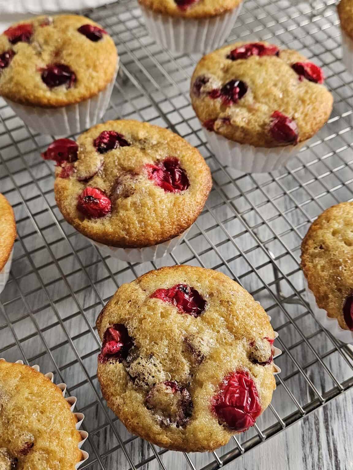 Cranberry Orange Sourdough Muffins - Raspberries and Kohlrabi