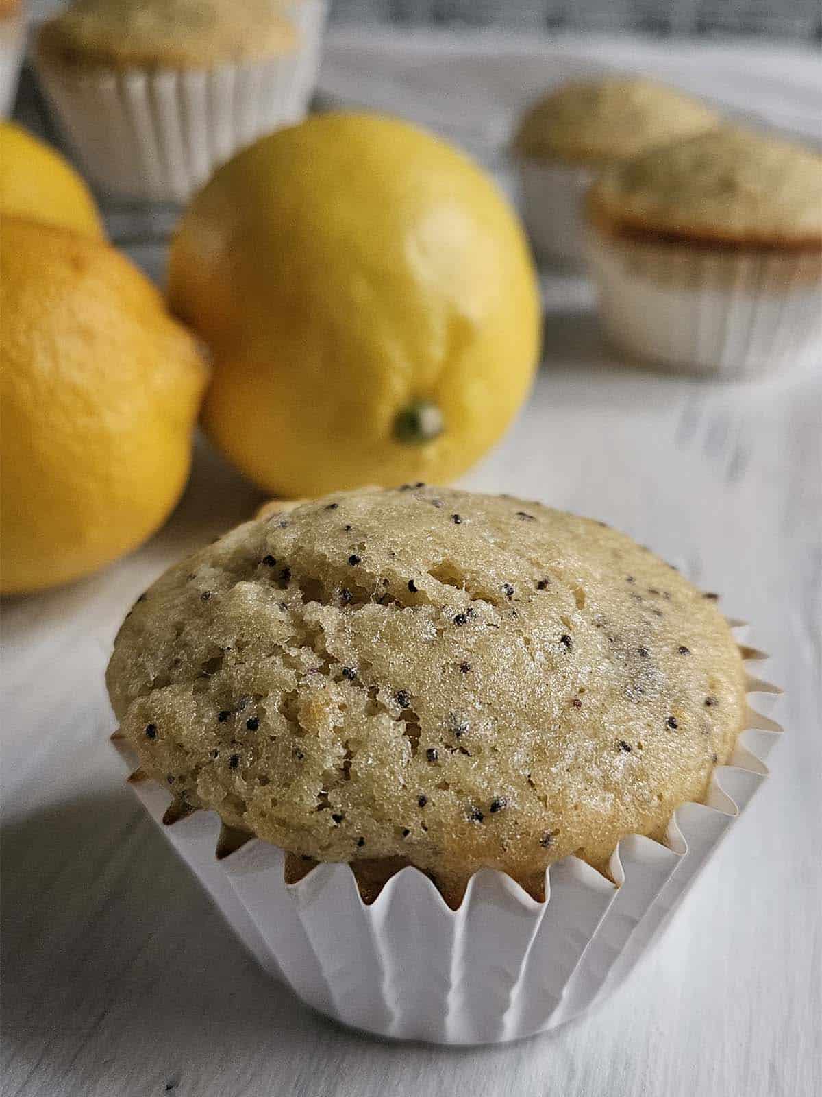 Lemon Poppyseed muffin on a white wood surface next to lemons.