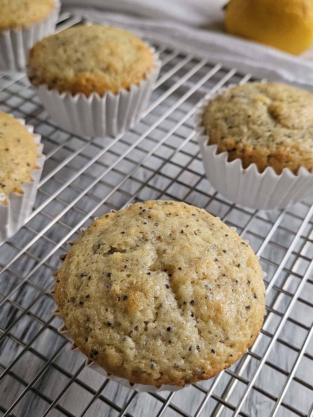 Lemon Poppyseed muffins on a wire rack.