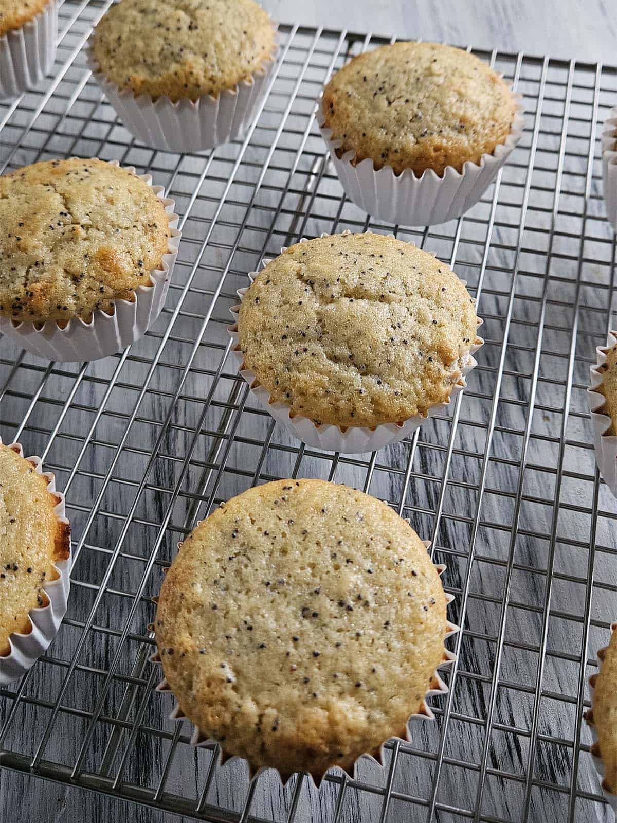 Lemon Poppyseed muffins on a wire rack.