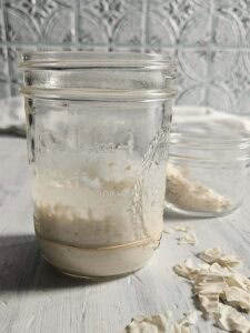 Refridgerating Your Sourdough Starter - Raspberries and Kohlrabi
