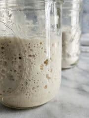 Refridgerating Your Sourdough Starter - Raspberries and Kohlrabi