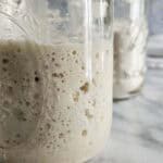 Fully risen sourdough starter in a glass jar.