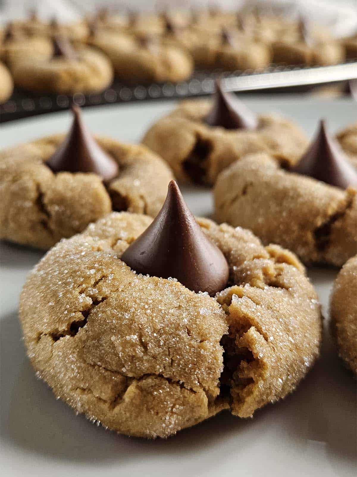 Peanut butter blossom cookies on a white plate.