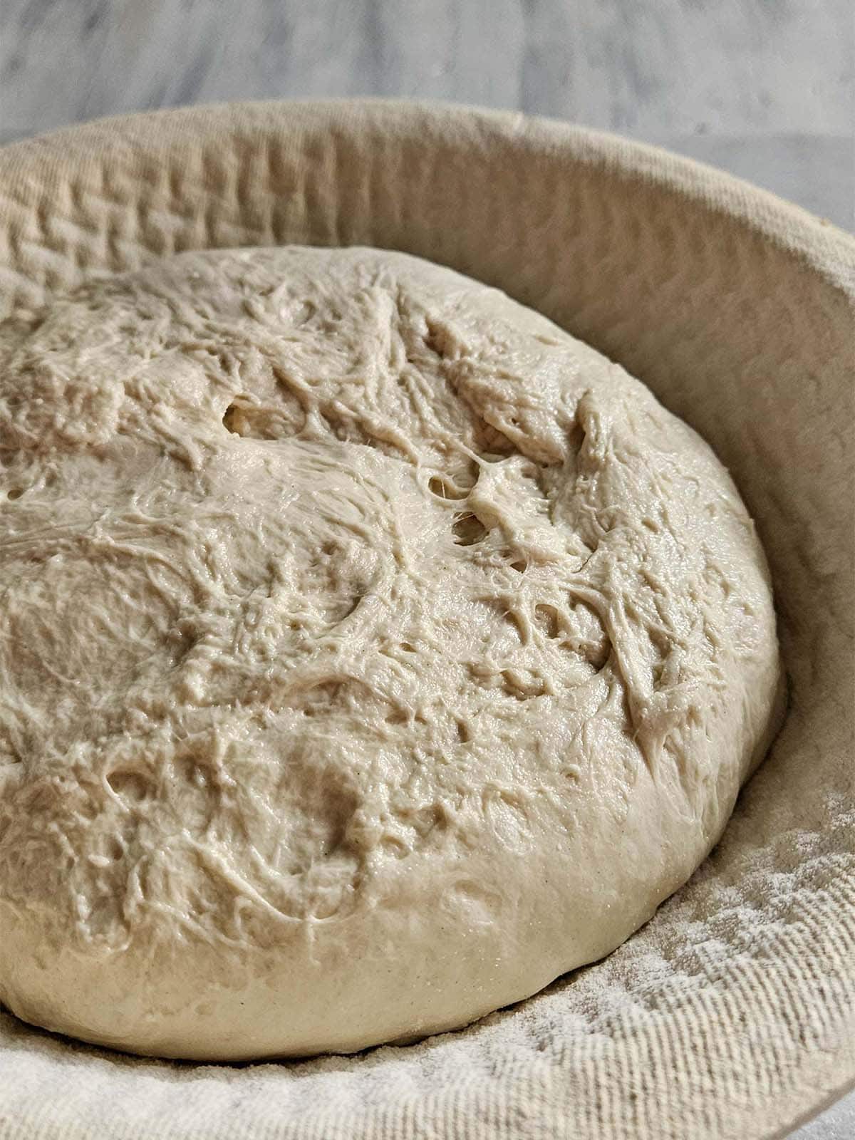 Sourdough dough in a banneton.