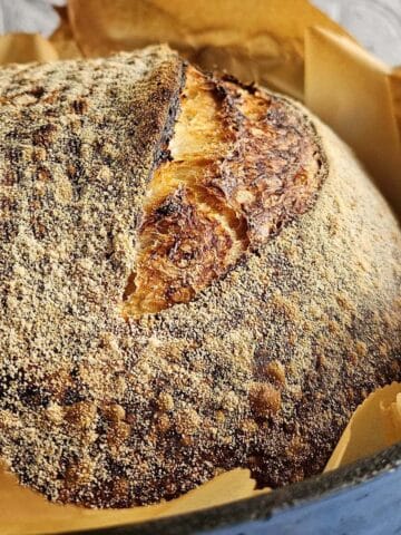 Baked sourdough bread in a blue Dutch oven.