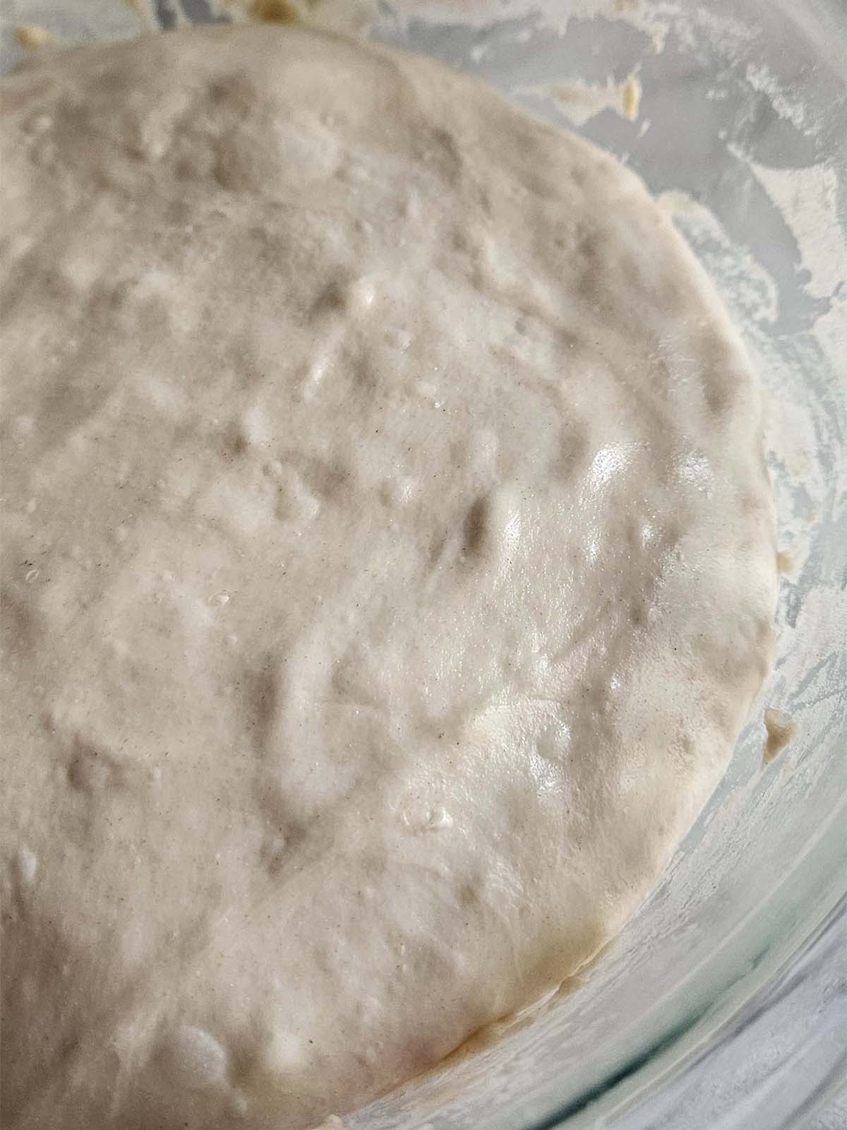 Close up of proofed dough.