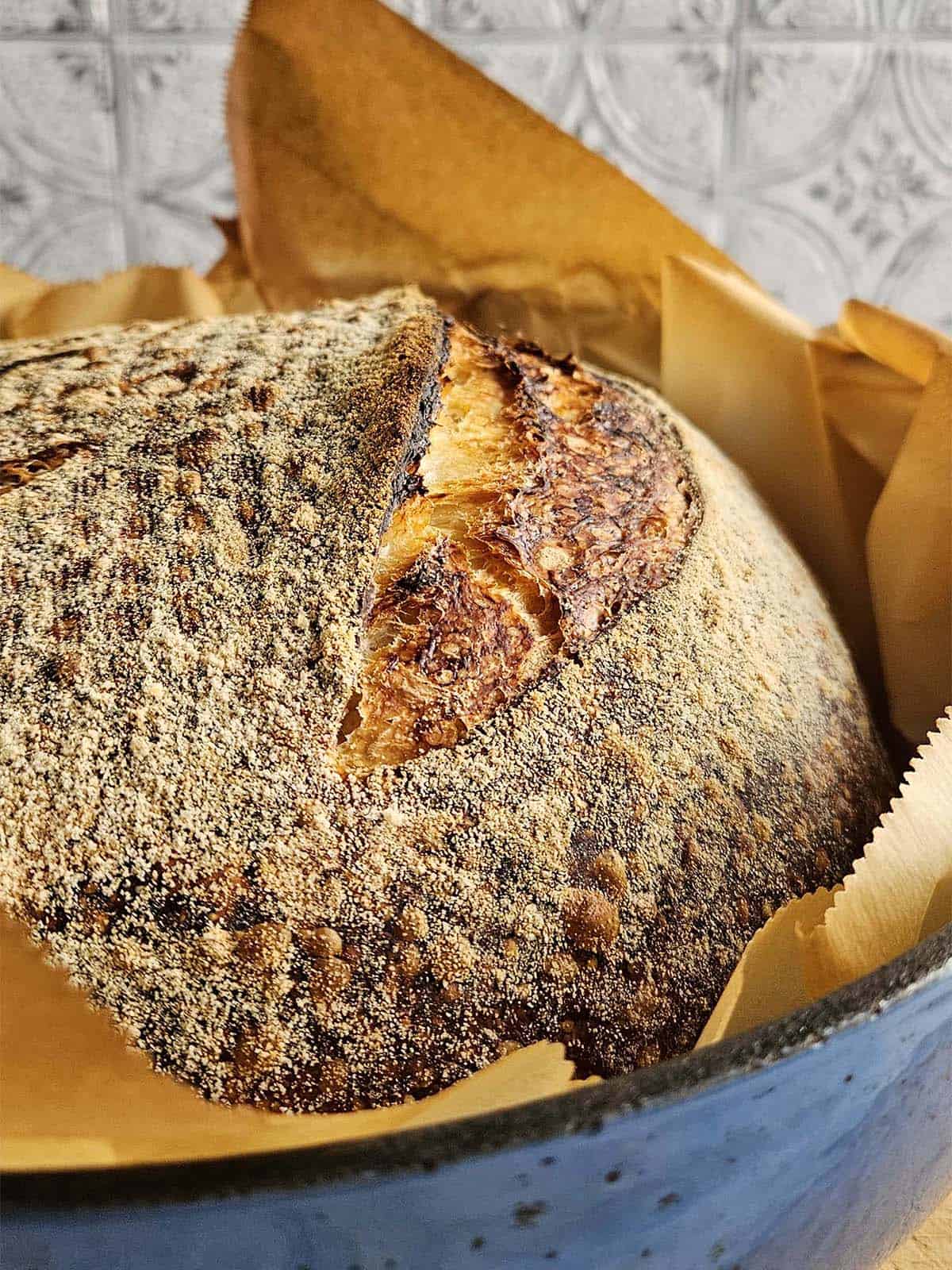 Baked sourdough bread in a blue Dutch oven.