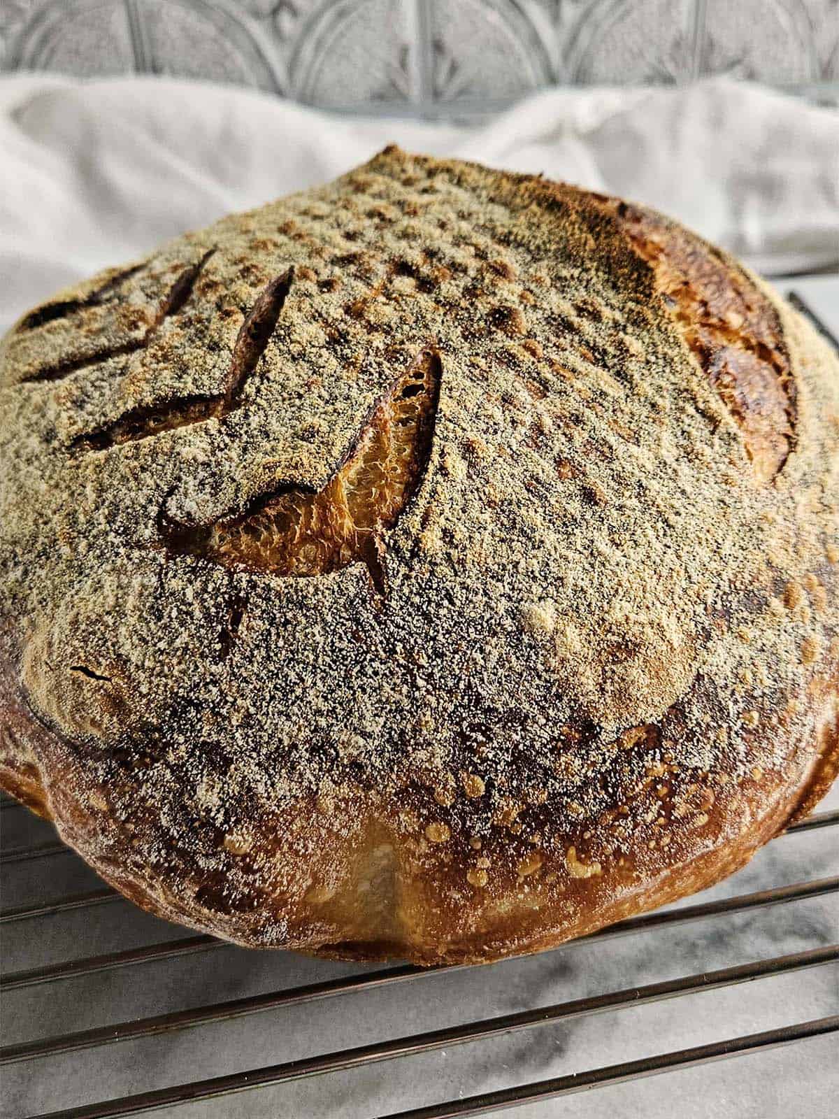 Baked boule of sourdough on a wire cooling rack.
