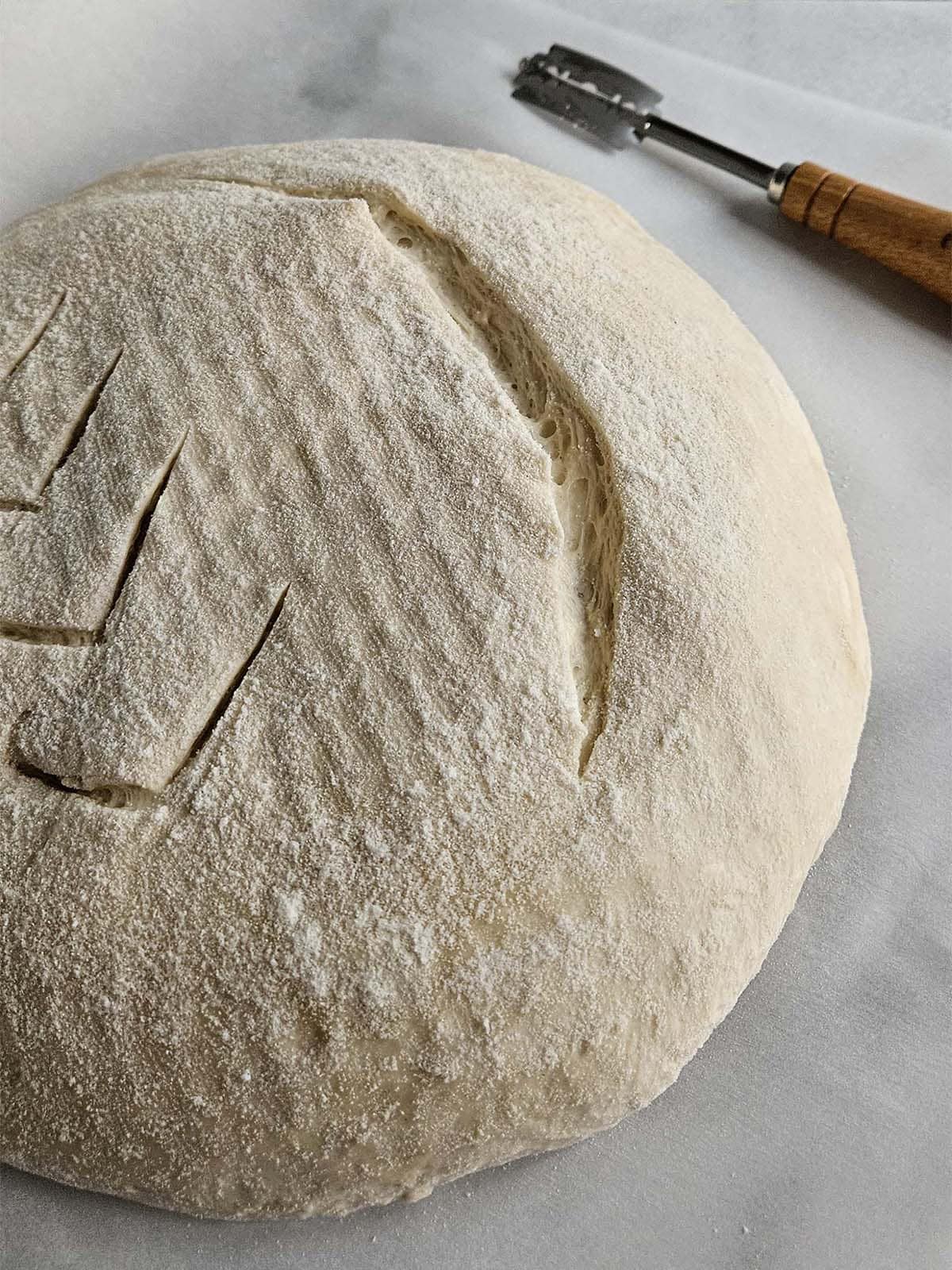 Scored boule of sourdough on parchment paper.