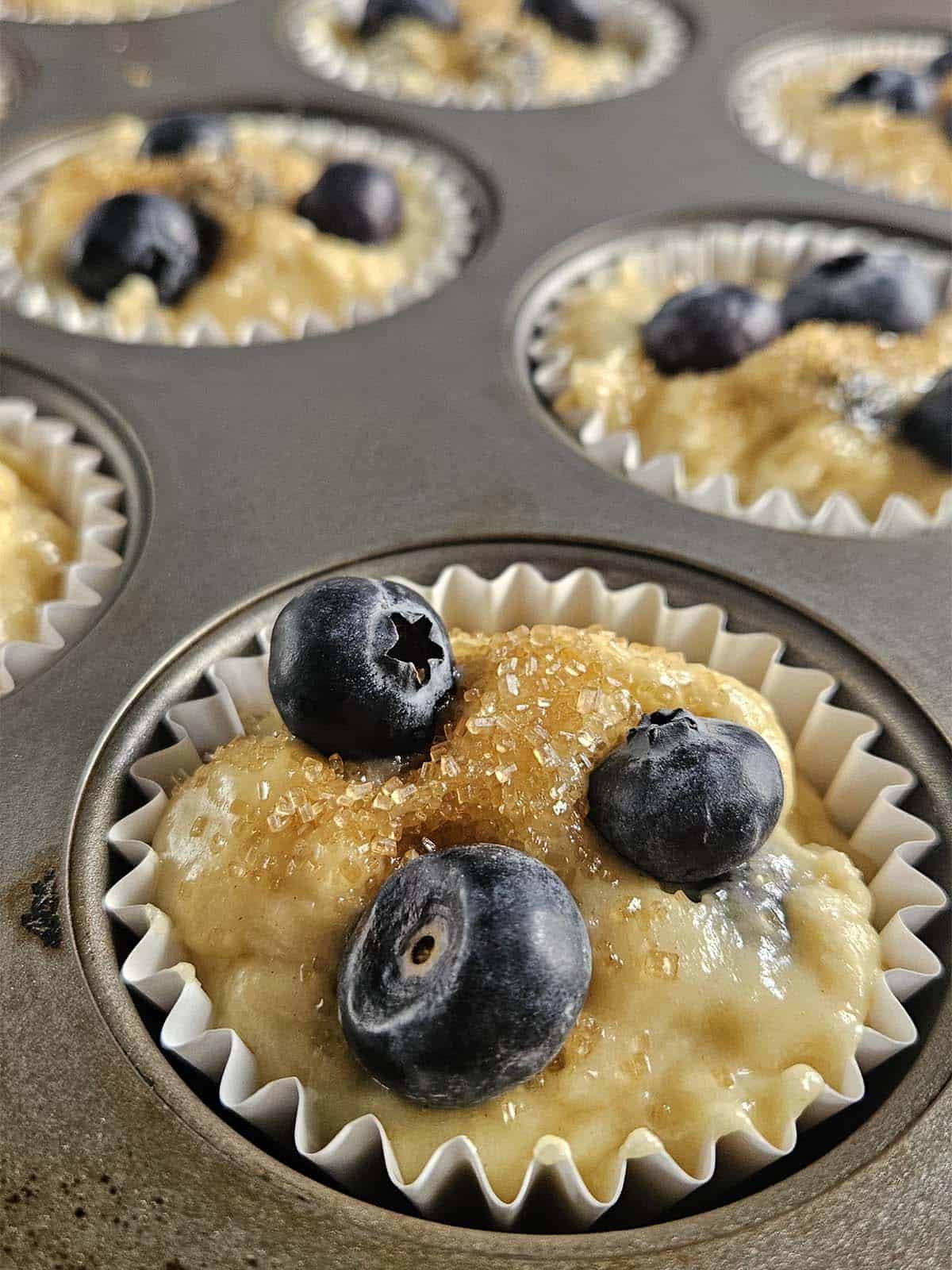 Sourdough blueberry muffin batter in a muffin pan.