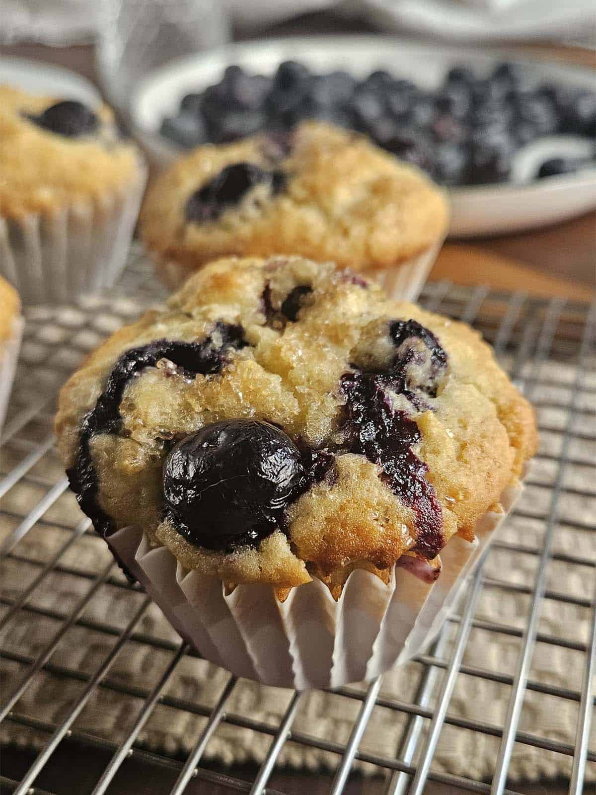 Sourdough blueberry muffins on a wire cooling rack.